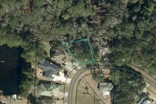 134 Palmera Ln, Brunswick, GA 31520 - Photo 1