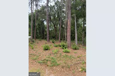 134 Palmera Lane, Brunswick, GA 31520 - Photo 2