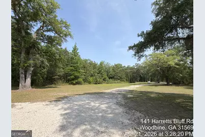 141 Harrietts Bluff Road, Woodbine, GA 31569 - Photo 8