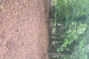 181 Lavender Rd, Athens, GA 30607 - Photo 22