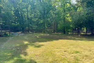 8518 Downs Rd, Winston, GA 30187 - Photo 78