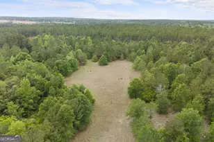 1059 Rabitsch Rd, Millen, GA 30442 - Photo 26