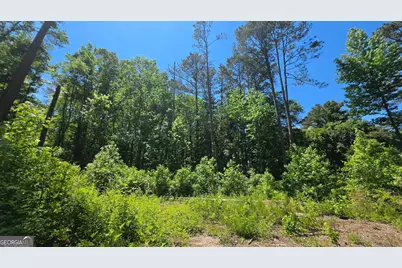 6099 Old Alabama Road SW, Austell, GA 30168 - Photo 2