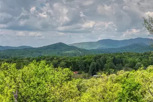 291 Tower Rd, Mineral Bluff, GA 30559 - Photo 8