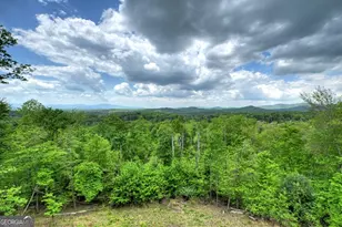 291 Tower Rd, Mineral Bluff, GA 30559 - Photo 22