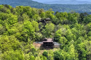 291 Tower Rd, Mineral Bluff, GA 30559 - Photo 12