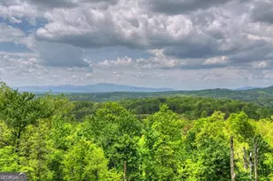 291 Tower Rd, Mineral Bluff, GA 30559 - Photo 6