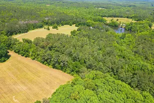 2754 Hwy 42 N, Forsyth, GA 31029 - Photo 56