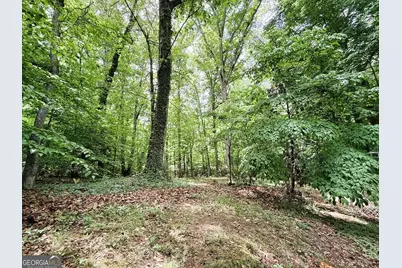 522 Woodland Road, Elberton, GA 30635 - Photo 28