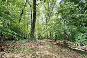 522 Woodland Rd, Elberton, GA 30635 - Photo 28