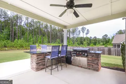 250 Cushing Street, Senoia, GA 30276 - Photo 32