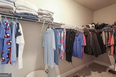250 Cushing Street, Senoia, GA 30276 - Photo 22