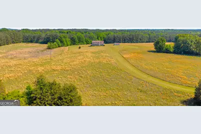 3248 Metasville Road, Washington, GA 30673 - Photo 1