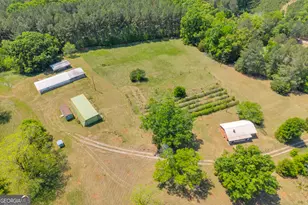 3248 Metasville Rd, Washington, GA 30673 - Photo 14