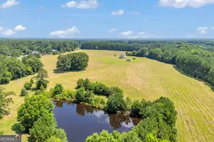 3248 Metasville Rd, Washington, GA 30673 - Photo 104
