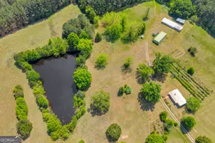 3248 Metasville Rd, Washington, GA 30673 - Photo 8