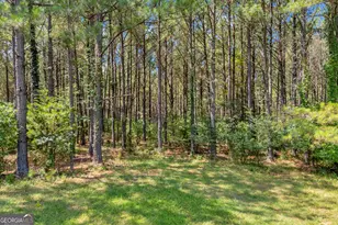 3248 Metasville Rd, Washington, GA 30673 - Photo 102