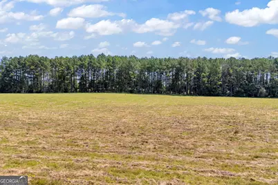 3248 Metasville Road, Washington, GA 30673 - Photo 2