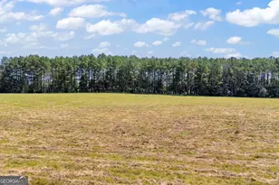 3248 Metasville Rd, Washington, GA 30673 - Photo 2