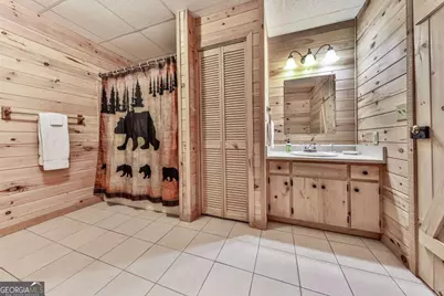 245 Weeks Creek Road, Blue Ridge, GA 30513 - Photo 28