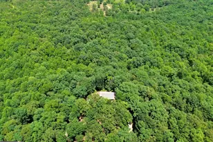 285 Wolf Den Rd, Royston, GA 30662 - Photo 62