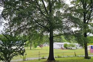 45 McKay Dr SE, Cartersville, GA 30121 - Photo 4