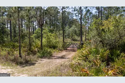 779 Ralph Davis Road #1 LAND LOT, Folkston, GA 31537 - Photo 2