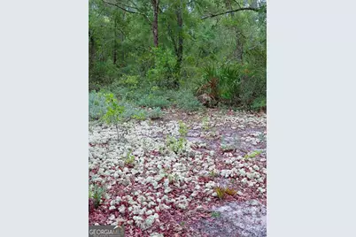 779 Ralph Davis Road #1 LAND LOT, Folkston, GA 31537 - Photo 6