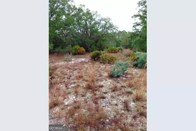 779 Ralph Davis Road #1 LAND LOT, Folkston, GA 31537 - Photo 12