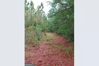 779 Ralph Davis Road, Folkston, GA 31537 - Photo 2