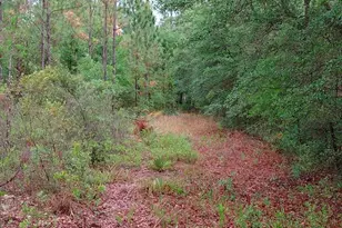 779 Ralph Davis Rd, Folkston, GA 31537 - Photo 2