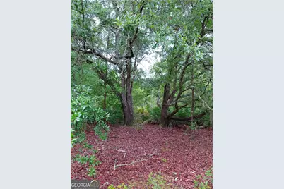 779 Ralph Davis Road, Folkston, GA 31537 - Photo 4