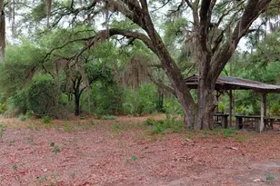 779 Ralph Davis Rd, Folkston, GA 31537 - Photo 8
