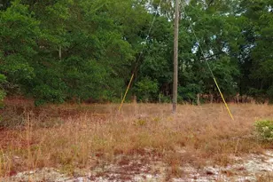 779 Ralph Davis Rd, Folkston, GA 31537 - Photo 12