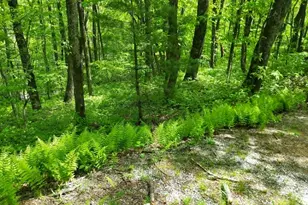 0 Lot 5 Rebel Circle, Sky Valley, GA 30537 - Photo 1