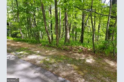0 Lot 5 Rebel Circle, Sky Valley, GA 30537 - Photo 10
