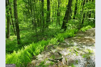 0 Lot 5 Rebel Circle, Sky Valley, GA 30537 - Photo 4