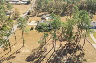 1407 Loop Rd, Vidalia, GA 30474 - Photo 60