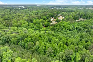 248 River Park Dr, Newnan, GA 30265 - Photo 44