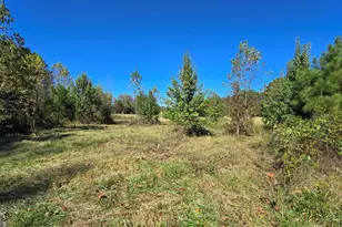 0 Fox Bridge Rd, Chatsworth, GA 30705 - Photo 1