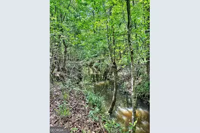 0 Wilson Way, Musella, GA 31066 - Photo 10