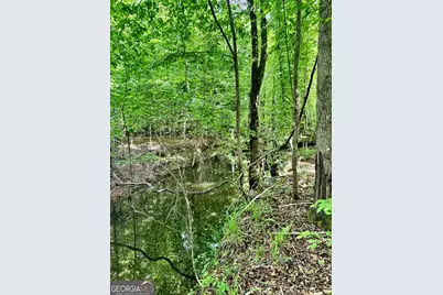 0 Wilson Way, Musella, GA 31066 - Photo 8
