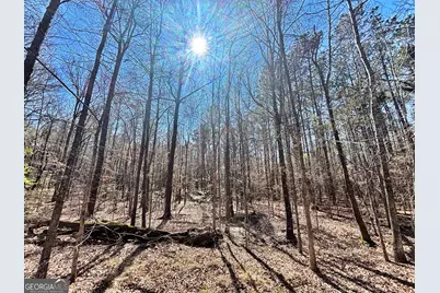 0 Wilson Way, Musella, GA 31066 - Photo 6