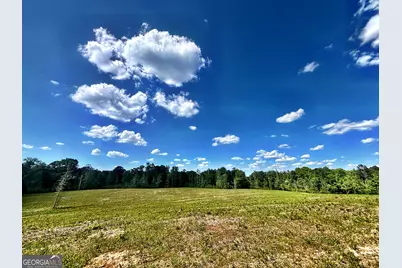 0 Wilson Way, Musella, GA 31066 - Photo 1