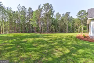100 Roberts Rd, Springfield, GA 31329 - Photo 50