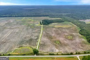 568 Hopewell Church Rd, Rhine, GA 31077 - Photo 58