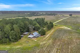 568 Hopewell Church Rd, Rhine, GA 31077 - Photo 78