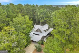 568 Hopewell Church Rd, Rhine, GA 31077 - Photo 64