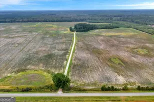 568 Hopewell Church Rd, Rhine, GA 31077 - Photo 60