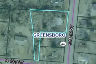 403 S Main St, Greensboro, GA 30642 - Photo 56